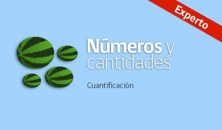 Números y cantidades (Experto)