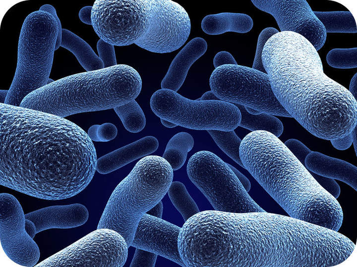 Células Procariotas y Eucariotas