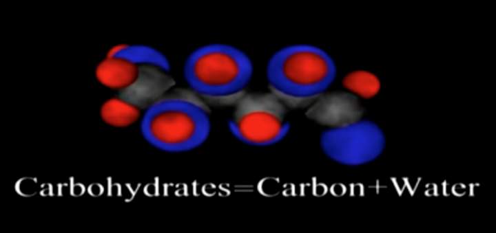 Moléculas Orgánicas - Carbohidratos