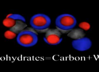 Moléculas Orgánicas - Carbohidratos