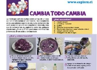 Cambios en la materia