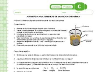 Características de una reacción química