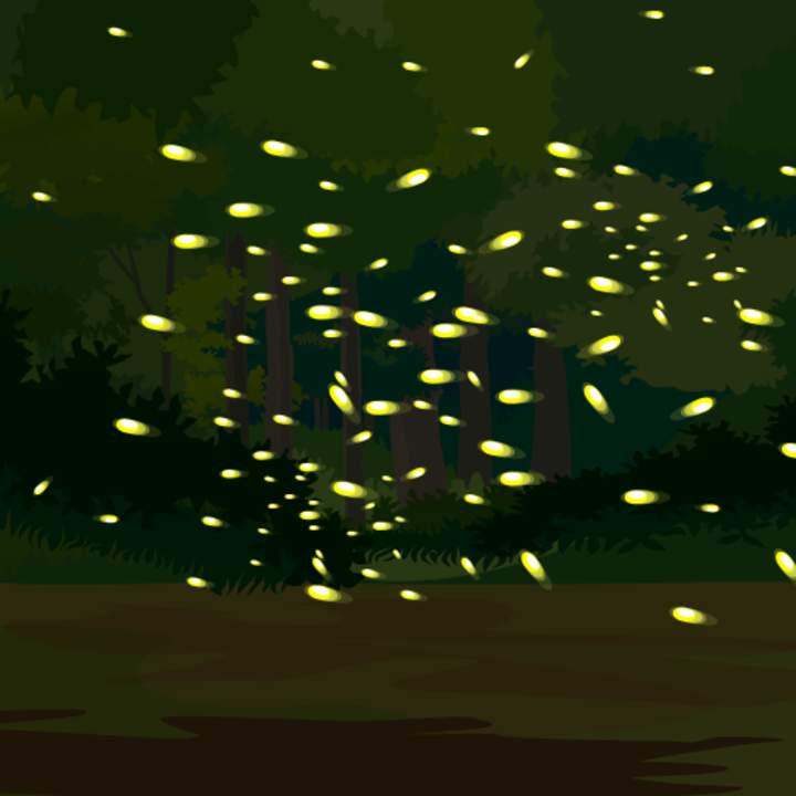 Luciérnagas y flashes