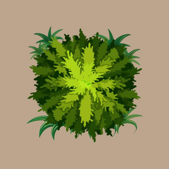 Una planta con más cromosomas que tú