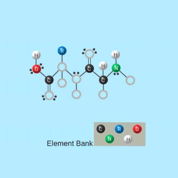Completa un péptido