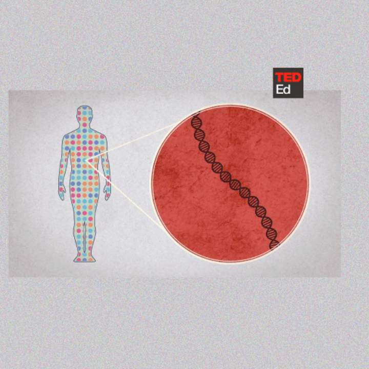 Cómo secuenciar el genoma humano Cómo secuenciar el genoma humano