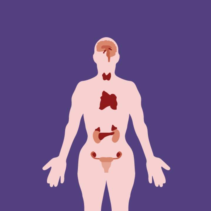 Mecanismos de acción hormonal