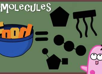 Biomoléculas