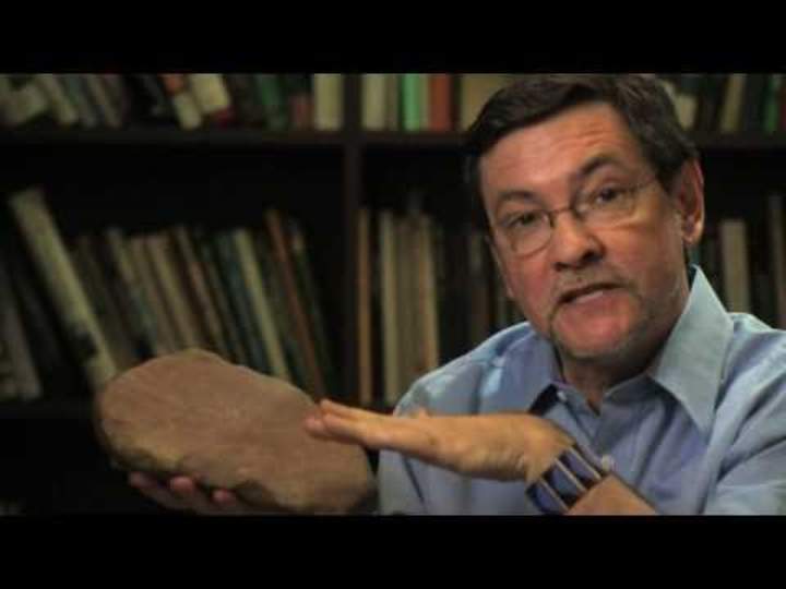 Orígenes humanos: evidencia de la evolución humana