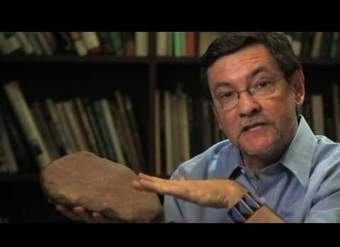 Orígenes humanos: evidencia de la evolución humana