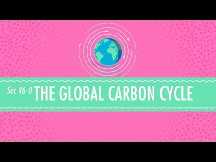 El ciclo global del carbono