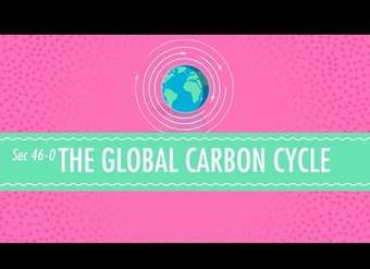 El ciclo global del carbono