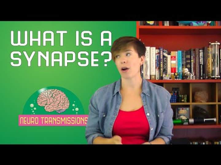 ¿Qué es una sinapsis?