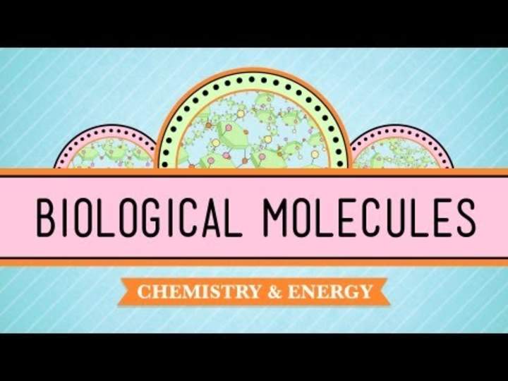 Moléculas biológicas: eres lo que comes: curso intensivo