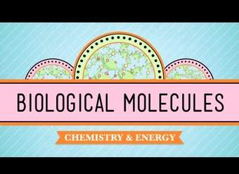 Moléculas biológicas: eres lo que comes: curso intensivo