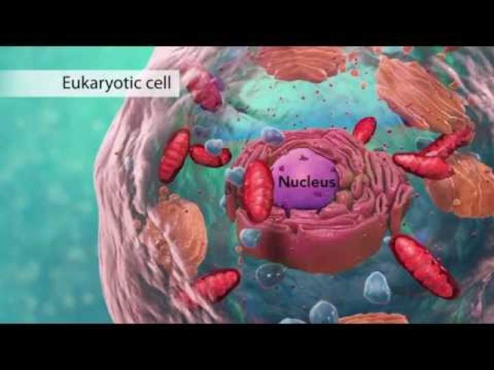 Biología: estructura celular