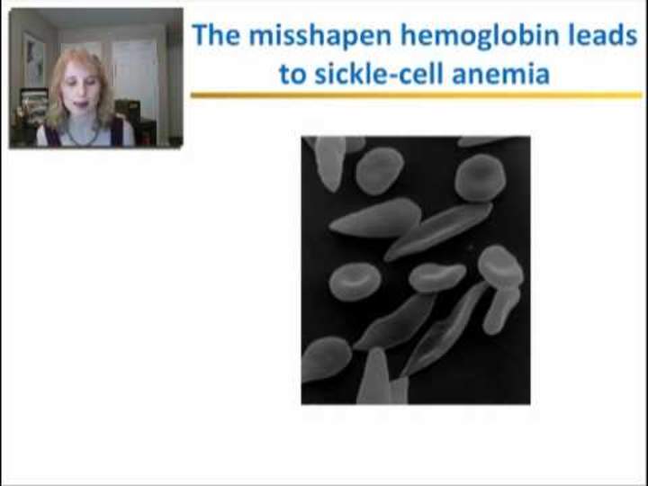 Estructura y función de proteínas
