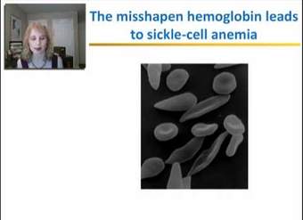 Estructura y función de proteínas