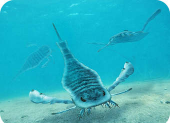 Evolución de los eucariotas a la vida multicelular