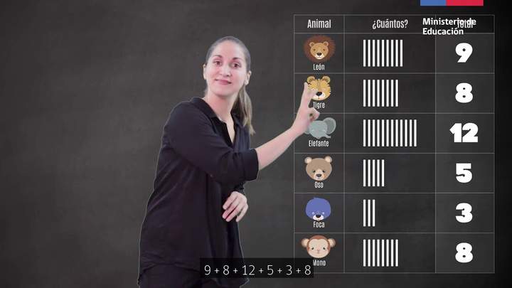 Aprendiendo a hacer encuestas y gráficos/Matemática 3° básico