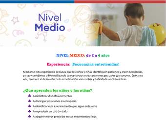 Experiencia educativa: Memorice