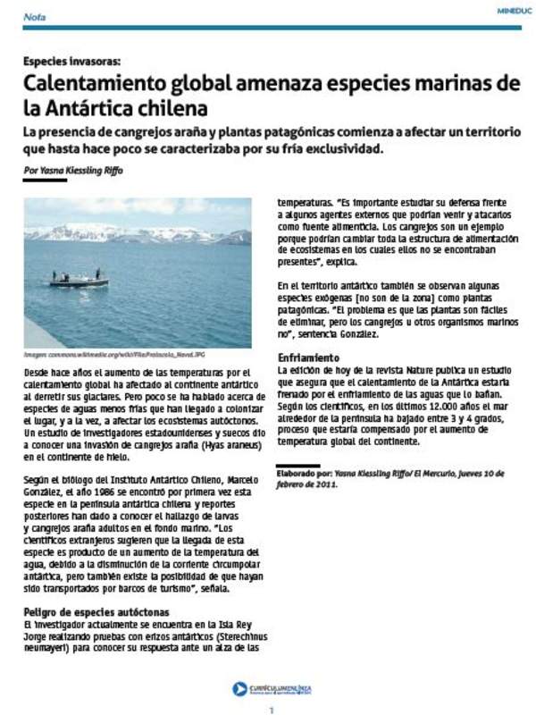 Calentamiento global amenaza especies marinas de la Antártica chilena