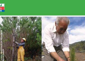 CONAF. (2013) Guía básica de buenas prácticas para plantaciones forestales de pequeños y medianos propietarios