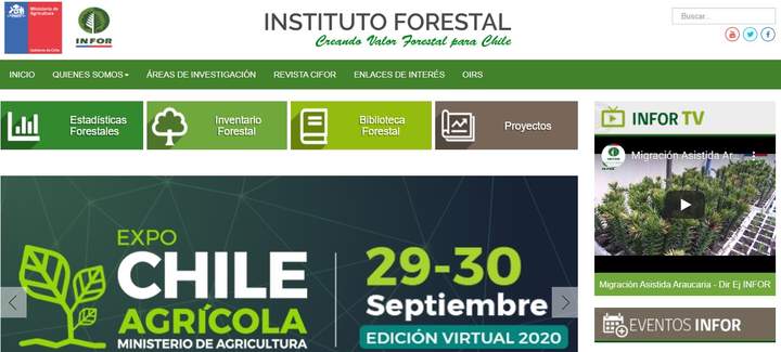 Instituto Forestal