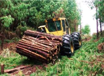 Tigercat (2013). Sistema de cosecha de plantaciones de pino Cotopaxi