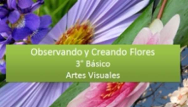 Observando y Creando Flores