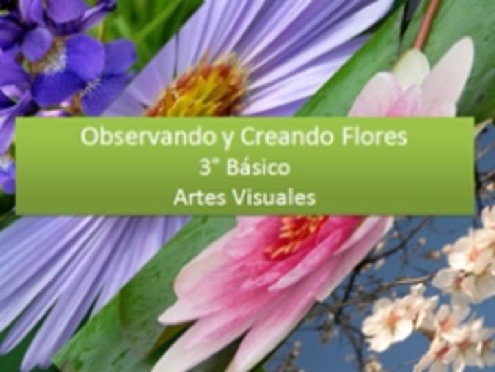 Observando y Creando Flores