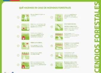 ¿Qué hacemos en caso de incendios forestales?