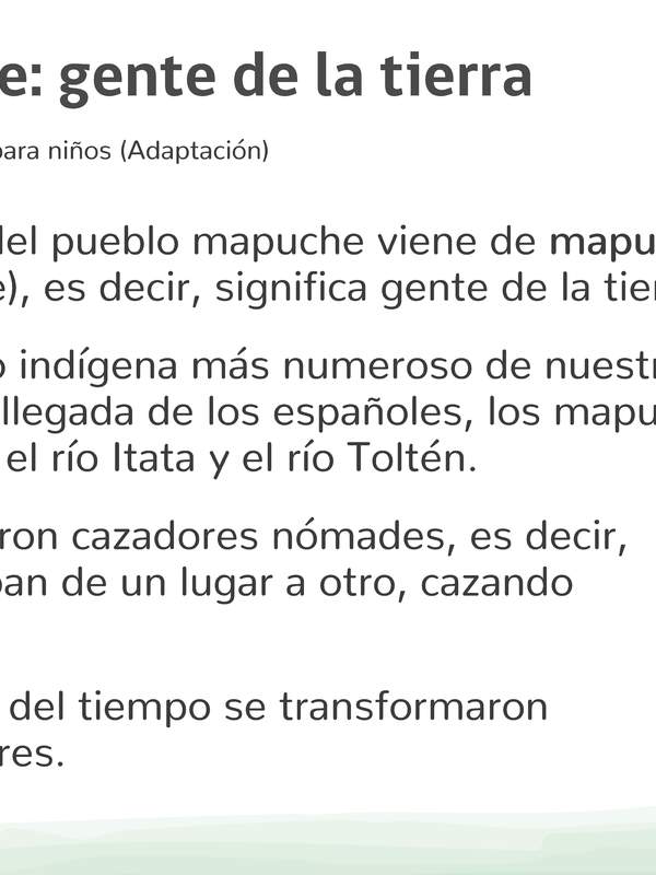 Mapuche gente de la tierra