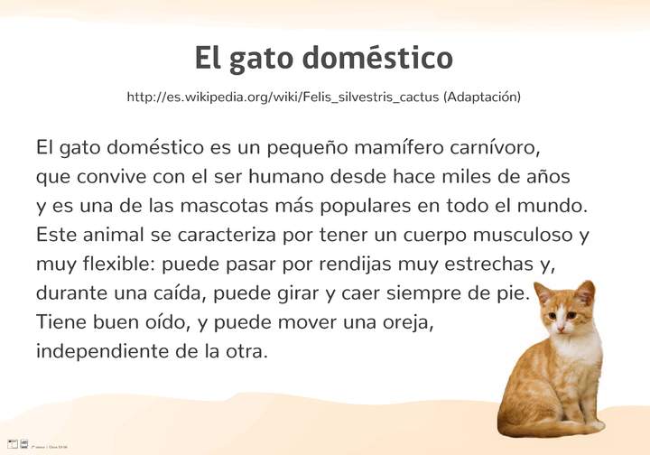 El gato doméstico