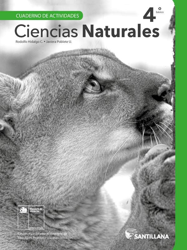 Ciencias Naturales 4° Básico, Cuaderno de actividades - Fragmento de muestra