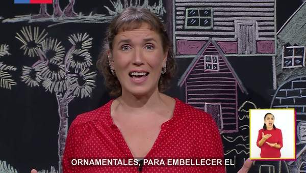 AprendoTV 2021 - 3° y 4° básico / Capítulo 08