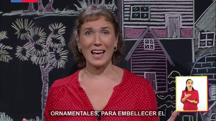 AprendoTV 2021 - 3° y 4° básico / Capítulo 08