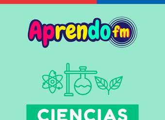 AprendoFM: Física - 1M OA11 - Cápsula 145 - La luz