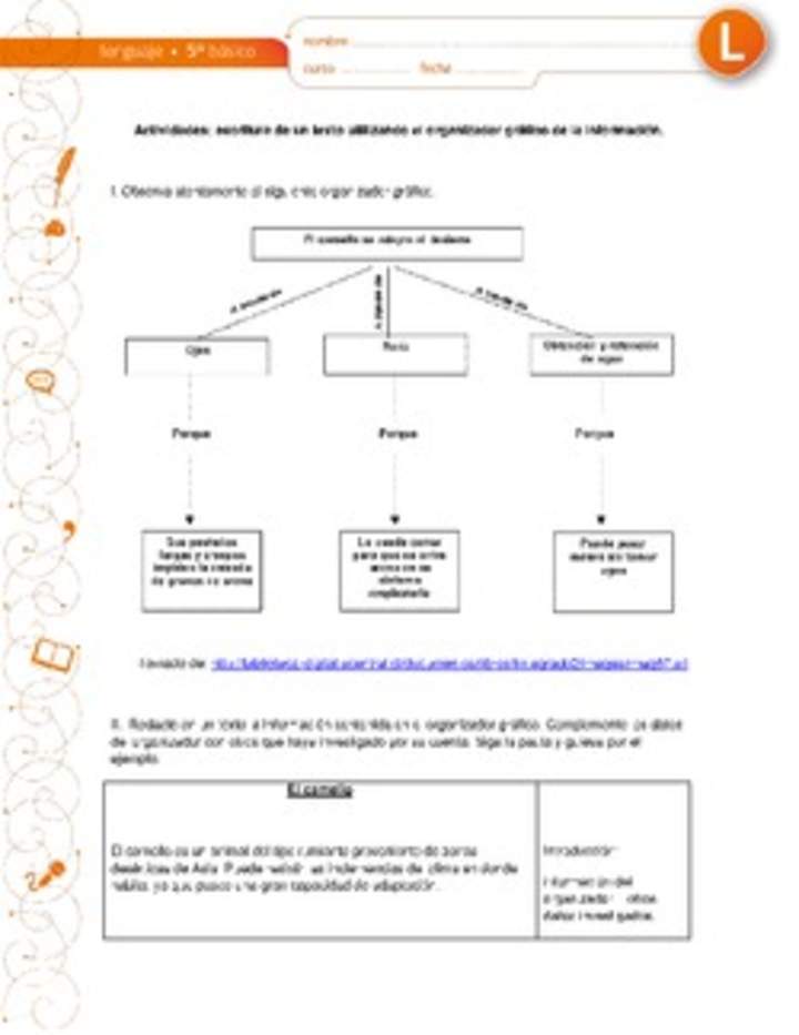 Escritura de un texto utilizando el organizador gráfico de la información