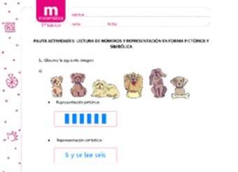 Lectura de números y representación en forma pictórica y simbólica