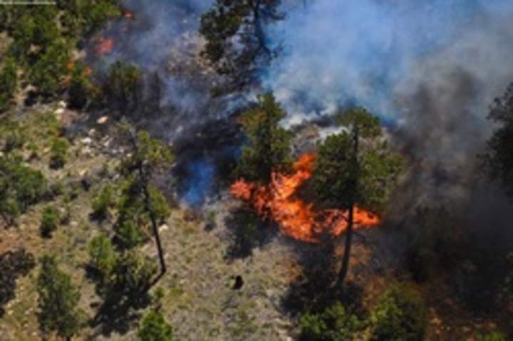 Incendio forestal