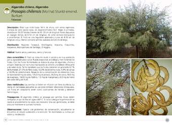 Prosopis chilensis