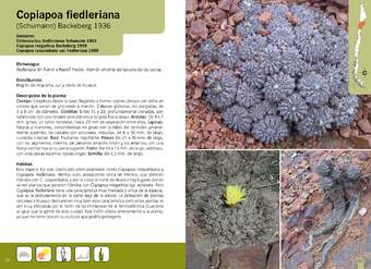 Copiapoa fiedleriana