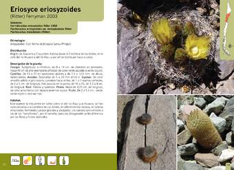 Eriosyce eriosyzoides