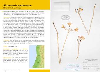 Alstroemeria marticorenae