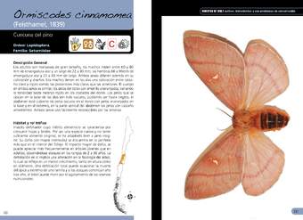 Ormiscodes cinnamomea -lepidóptera