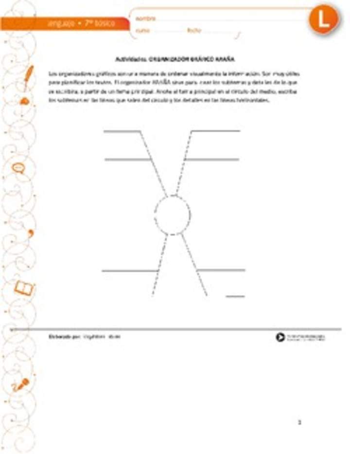 Organizador gráfico araña