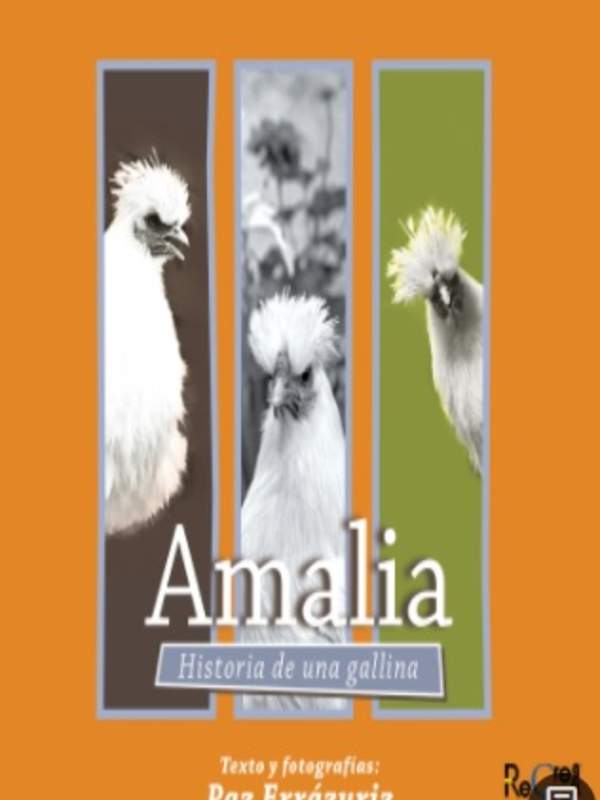 Amalia Historia de una gallina