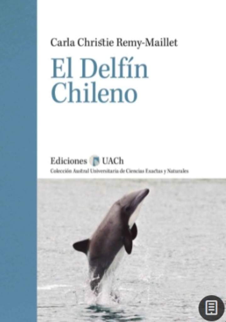 El delfín chileno
