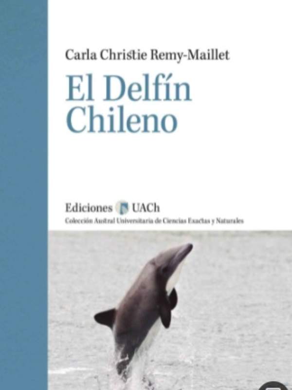 El delfín chileno